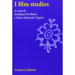 Film studies (I)