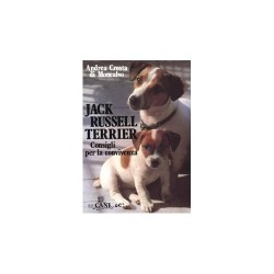 Jack Russell terrier....