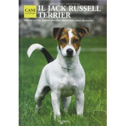 Il Jack Russel Terrier